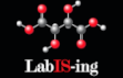 labinglog1